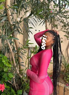 Amirah squirty pretty carribean - escort in Dubai Photo 4 of 10
