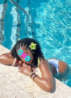 Amirah squirty pretty carribean - escort in Dubai Photo 5 of 10