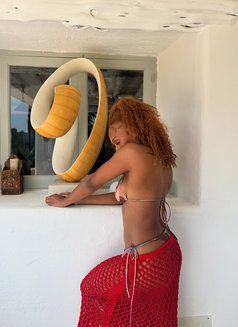 Amirah squirty pretty carribean - escort in Dubai Photo 7 of 10