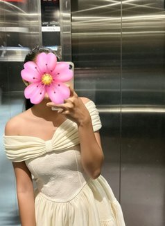 Amisha (independent) - escort in Colombo Photo 1 of 2