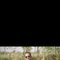 Amit Kumar - Male escort in Agra