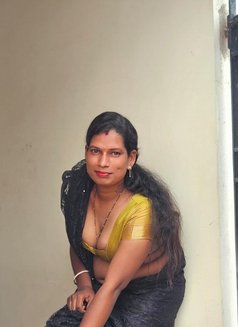 Ammu - Acompañantes transexual in Chennai Photo 4 of 7