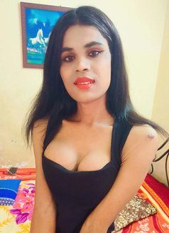 Ammu sexy tranny - Transsexual escort in Chennai Photo 14 of 16