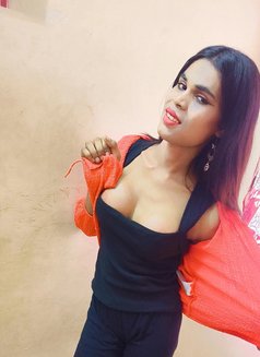 Ammu sexy tranny - Transsexual escort in Chennai Photo 16 of 16