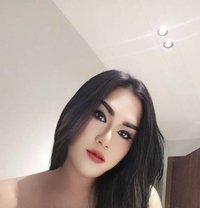 Ammy - Transsexual escort in Riyadh