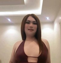 Ammy Niraphat - Transsexual escort in Al Manama