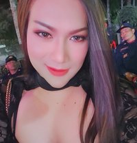 Ammy Niraput - Transsexual escort in Pattaya