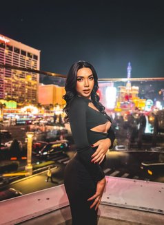 Ammy - Acompañantes transexual in Bangkok Photo 1 of 6