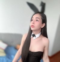 Ammy - Transsexual escort in Krabi