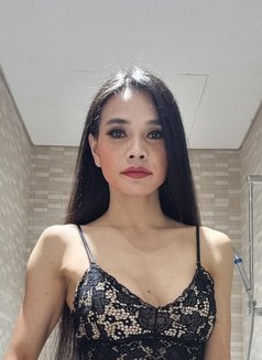 Ammy Thailand🇹🇭 - Transsexual escort in Dubai Photo 1 of 13
