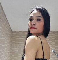 Ammy Thailand🇹🇭 - Acompañantes transexual in Dubai