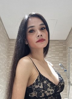 Ammy Thailand🇹🇭 - Transsexual escort in Dubai Photo 3 of 13