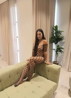 Ammy Vip 🇹🇭 - Transsexual escort in Riyadh Photo 9 of 16