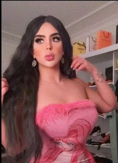 طعمي غير Amon بالرياض - Transsexual escort in Riyadh Photo 17 of 22