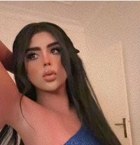 الكيكة Amon in RIYADH - Transsexual escort in Riyadh Photo 23 of 23