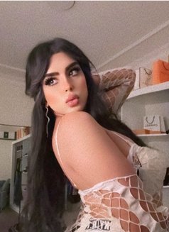 طعمي غير Amon بالرياض - Transsexual escort in Riyadh Photo 15 of 22