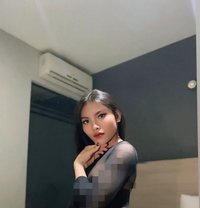 Amor - Transsexual escort in Kuala Lumpur Photo 13 of 15