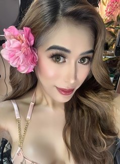 Amor Megveliz is Back in Singapore . - Transsexual escort in Singapore Photo 6 of 29