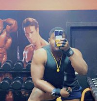 Black Amsterdam Horse - Male escort in Amsterdam