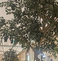 Amuktha - escort in Hyderabad