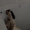 Amy Anal Sex - escort in Pattaya Photo 2 of 6