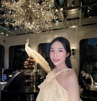 Amy - Transsexual escort in Tokyo
