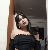 Amy - Acompañantes transexual in Hyderabad