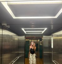 Amy - Transsexual escort in Cape Town