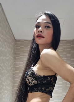 Amy Thai 🇹🇭 Massage - Transsexual escort in Dubai Photo 4 of 6