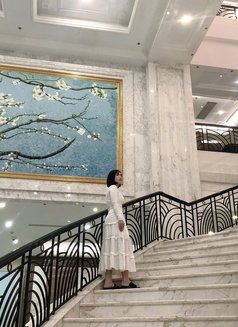 Amy - puta in Ho Chi Minh City Photo 15 of 16