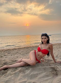 Amy69 - Transsexual escort in Pattaya Photo 7 of 12