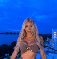 Ana Mancini - Acompañantes transexual in Al Manama