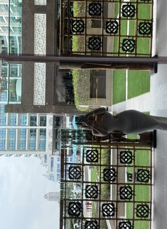 Anahita - escort in Dubai Photo 5 of 6