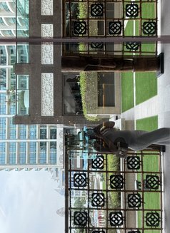 Anahita - escort in Dubai Photo 6 of 6