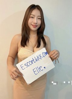 Anal Bangkok Escort / Elle - puta in Bangkok Photo 9 of 14