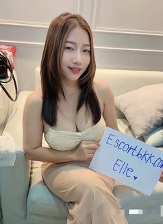 Anal Bangkok Escort / Elle - puta in Bangkok Photo 11 of 14