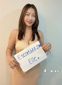 Anal Bangkok Escort / Elle - puta in Bangkok Photo 13 of 14