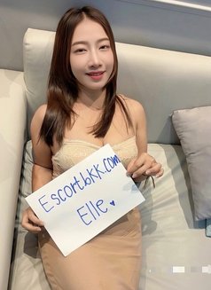 Anal Bangkok Escort / Elle - puta in Bangkok Photo 14 of 14