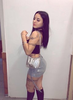 Anal, Massage, Full Service - escort in Muscat Photo 1 of 2