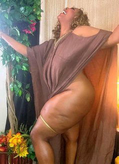 Rim,cim,cam,deep throat,Anal - escort in Chennai Photo 1 of 3