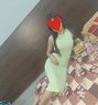 Ashi Indipendent work nd CAM 24/7 availe - escort in Noida Photo 7 of 8