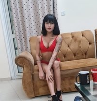 Anamika Indian Model - escort in Sharjah