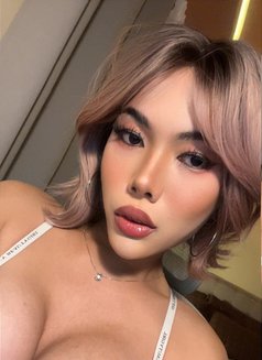 Anastasia - Transsexual escort in Singapore Photo 6 of 6