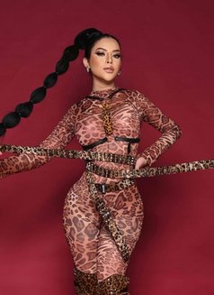 Anastasya Huge Thick and Cum - Transsexual escort in Jakarta Photo 8 of 20