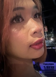 AndeePH - Acompañante transexual in Manila Photo 6 of 8