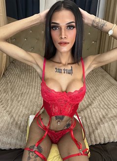 Andrea Thompson - Acompañantes transexual in Manila Photo 4 of 9