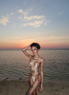 Andrea Thompson - Acompañantes transexual in Manila Photo 5 of 9