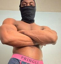 Andrewxxl - Male escort in Doha