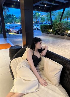 Andy🫦 - Transsexual escort in Manila Photo 6 of 15