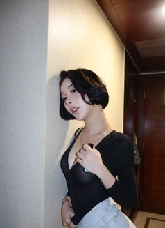 Andy New Girl in Town - puta in Taipei Photo 3 of 5